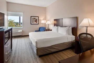 Best Western Tampa