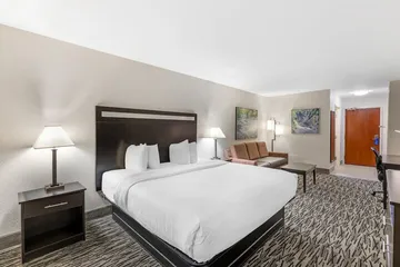 Best Western Plus McDonough Inn & Suites