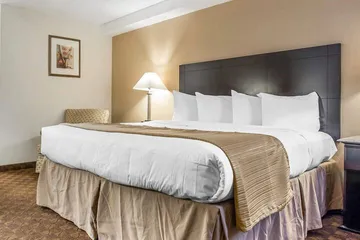 Quality Inn & Suites Coliseum