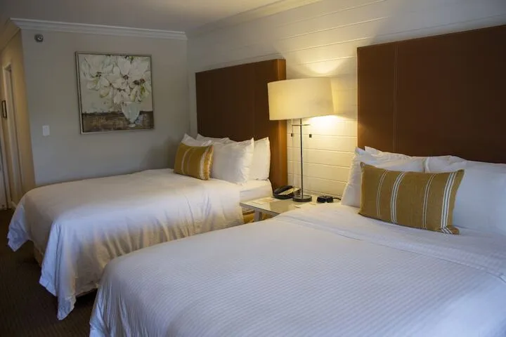 Room 4 of 35