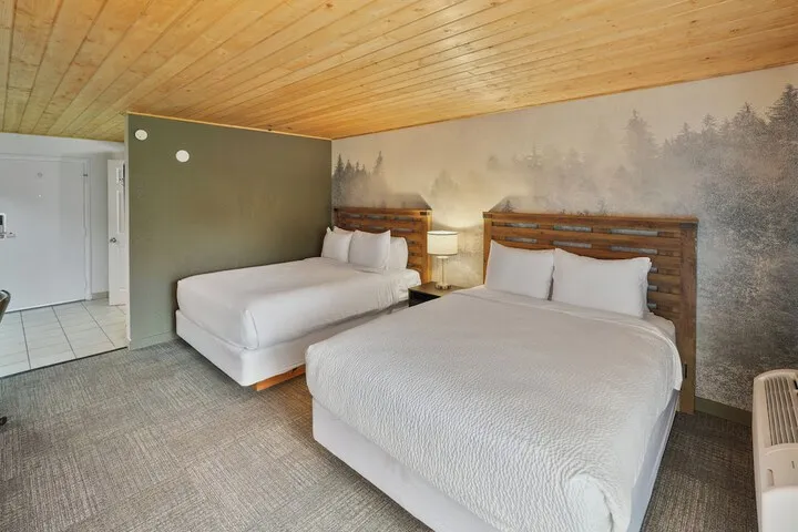 Room 4 of 348