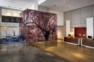 Park Hyatt Washington