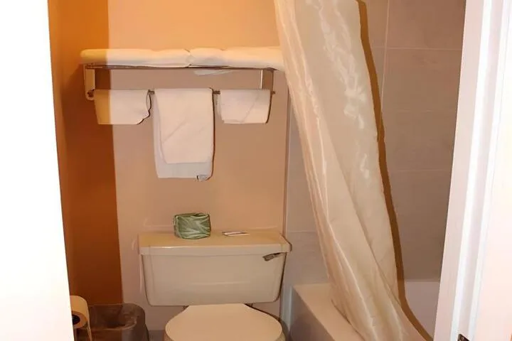 Photo 5