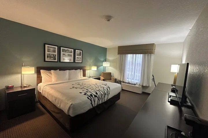 Room 5 of 43
