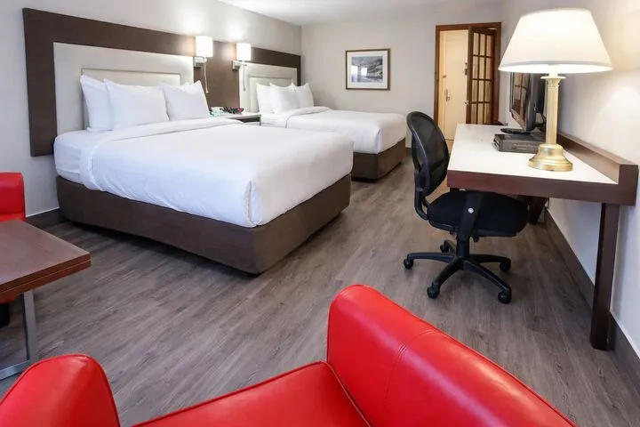 Room 4 of 51