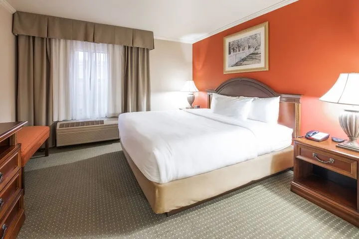 Room 5 of 12