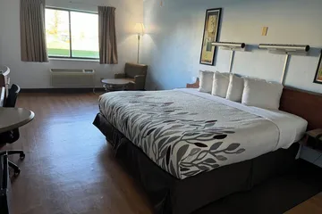 Sycamore Suites