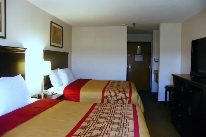 Room 5 of 24