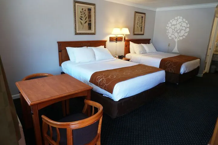 Room 4 of 34