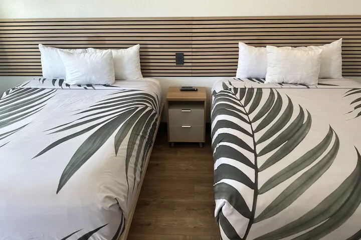 Room 4 of 31