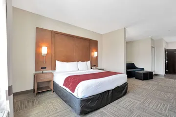 Comfort Suites University