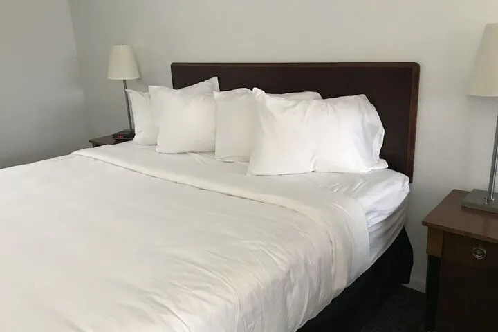 Room 4 of 55