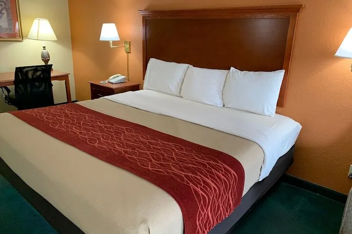 Room 5 of 24