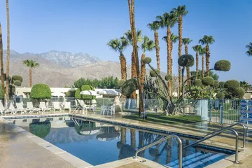 Desert Isle of Palm Springs