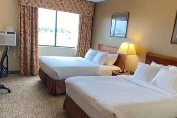Comfort Inn & Suites Morton - Peoria