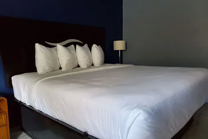 Room 5 of 85
