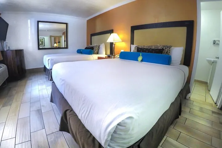 Room 3 of 35