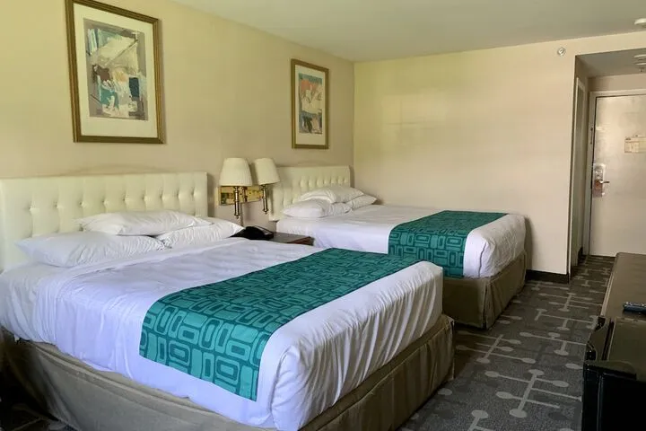 Room 5 of 24