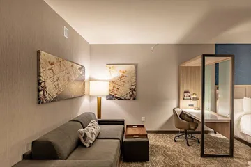 SpringHill Suites by Marriott Dallas McKinney / Allen