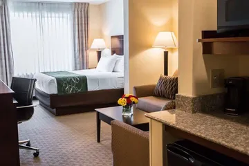 Comfort Suites University Area Notre Dame - South Bend