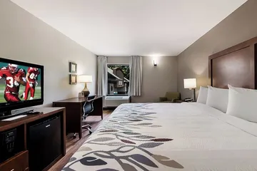 Red Roof Inn Newport News - Yorktown