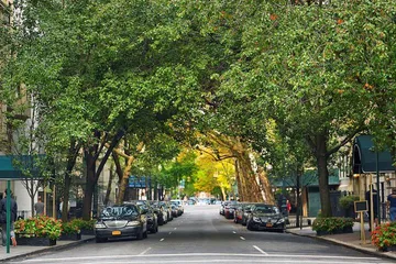The Gardens Sonesta ES Suites New York
