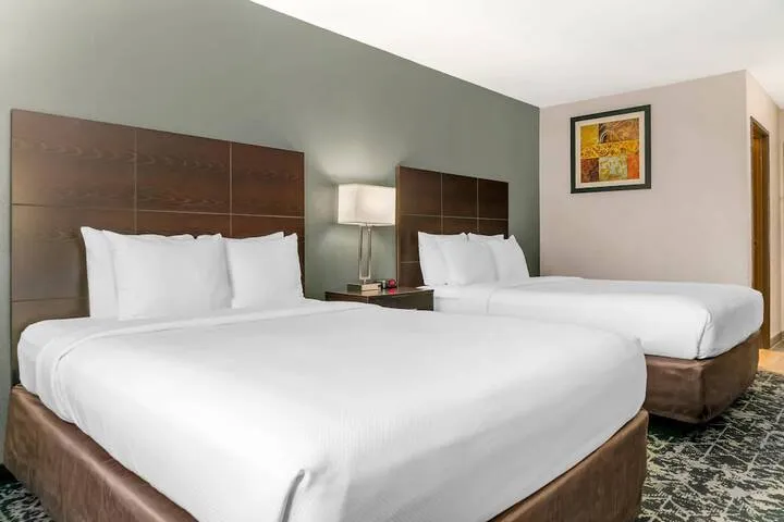 Room 4 of 30