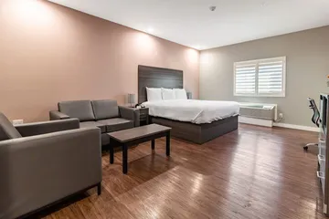 Scottish Inns & Suites Houston TX