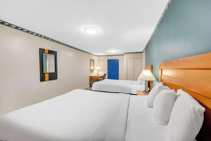 Room 5 of 24