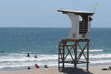 Surf Suites