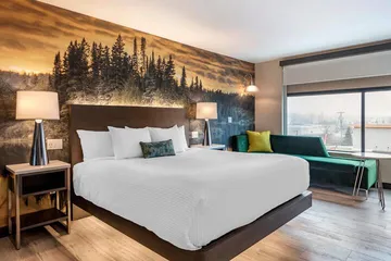 Cambria Hotel Shelby Township - Detroit Utica