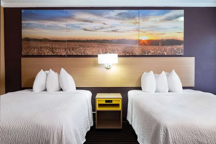 Room 4 of 29
