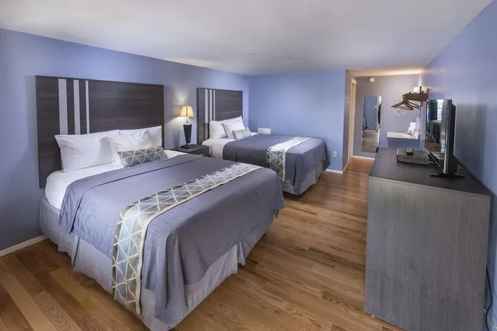 Room 3 of 67