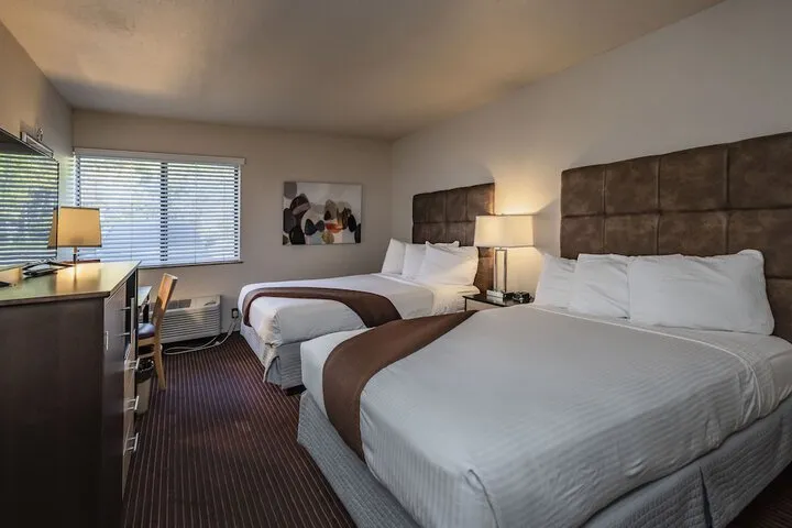 Room 5 of 41