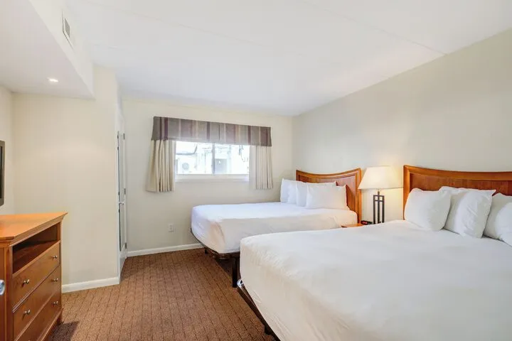 Room 3 of 89