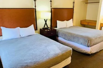 Snow Bear Lodge