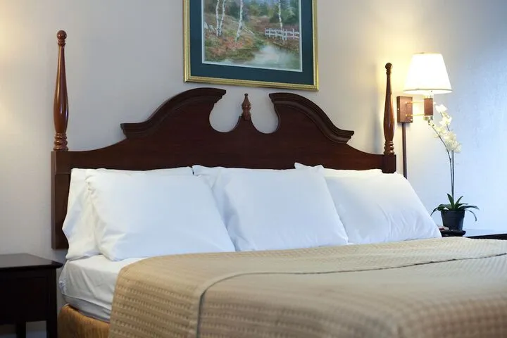 Room 4 of 19