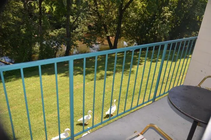 Terrace/Patio 4 of 22