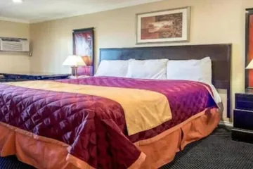 Queencity Inn