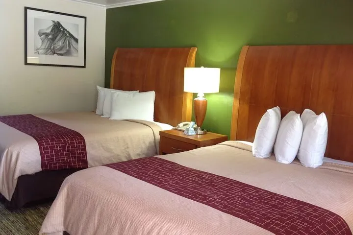 Room 5 of 37