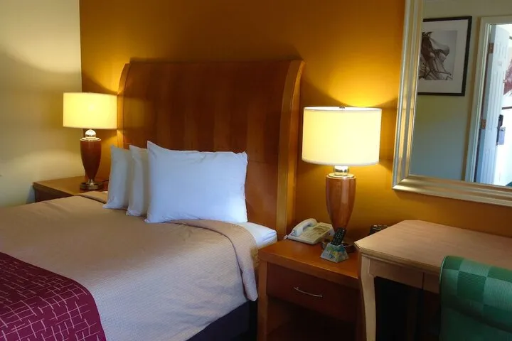 Room 4 of 37