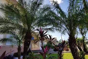 Parkway Inn Airport Motel Miami