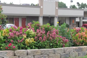 Red Carpet Inn