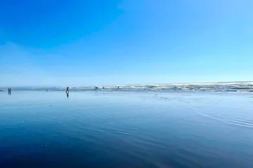 Arena del Mar