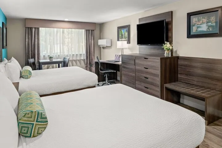 Room 4 of 55