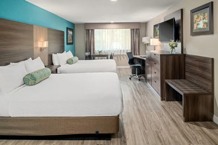 Room 3 of 55