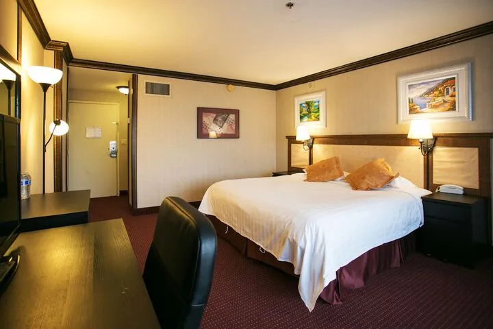 Room 4 of 84