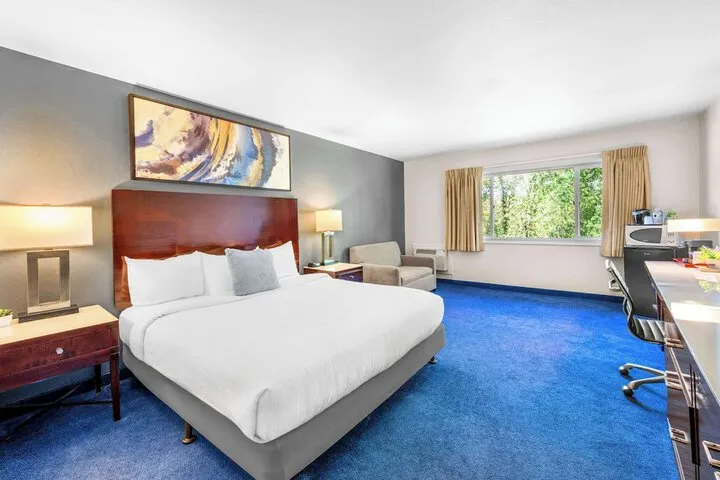 Room 4 of 51