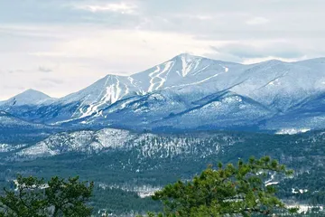 NewVida Preserve