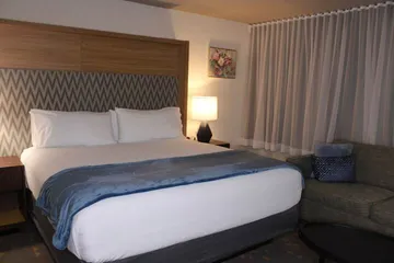 Wyndham Flint MI / Grand Blanc/Bishop Airport/Conference Ct